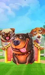 The Dog House